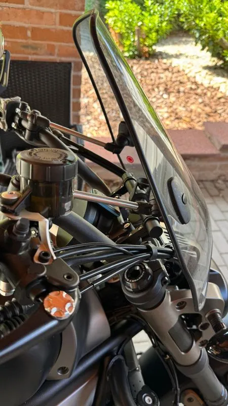 Windshield